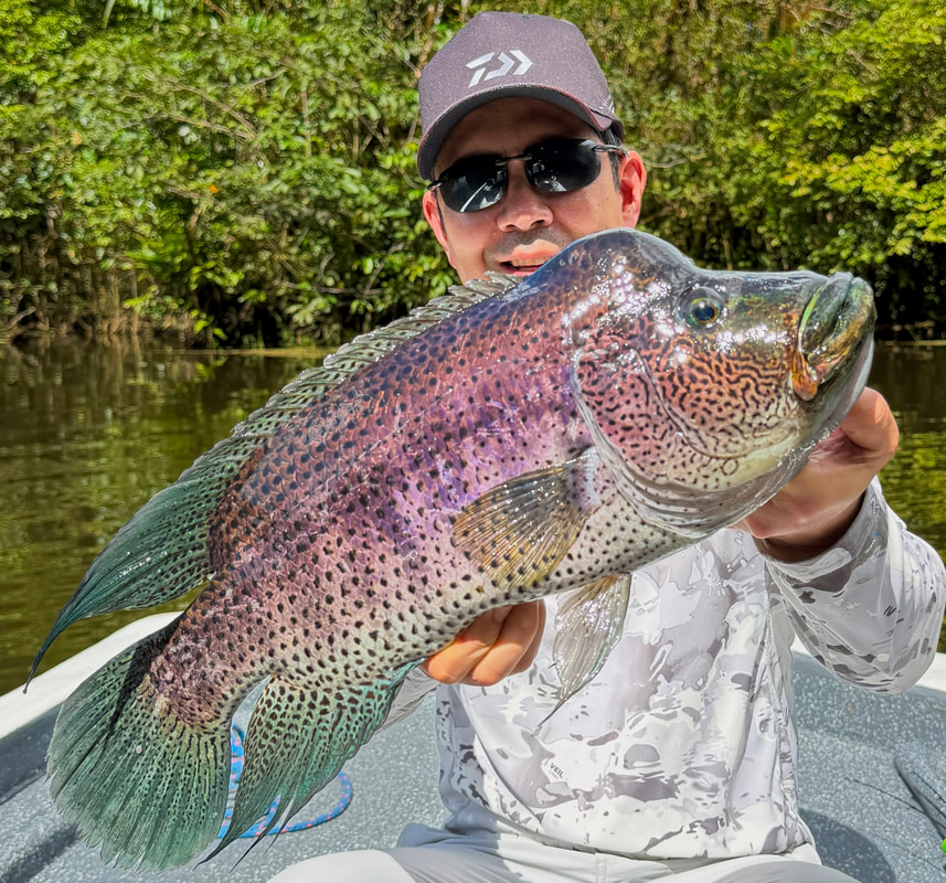 Another big brute from the Costa Rica/Nicaragua border area