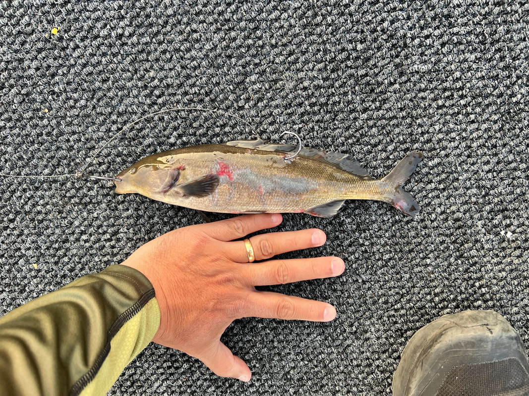 Sometimes bigger baits are the ticket to bigger Tigerfish