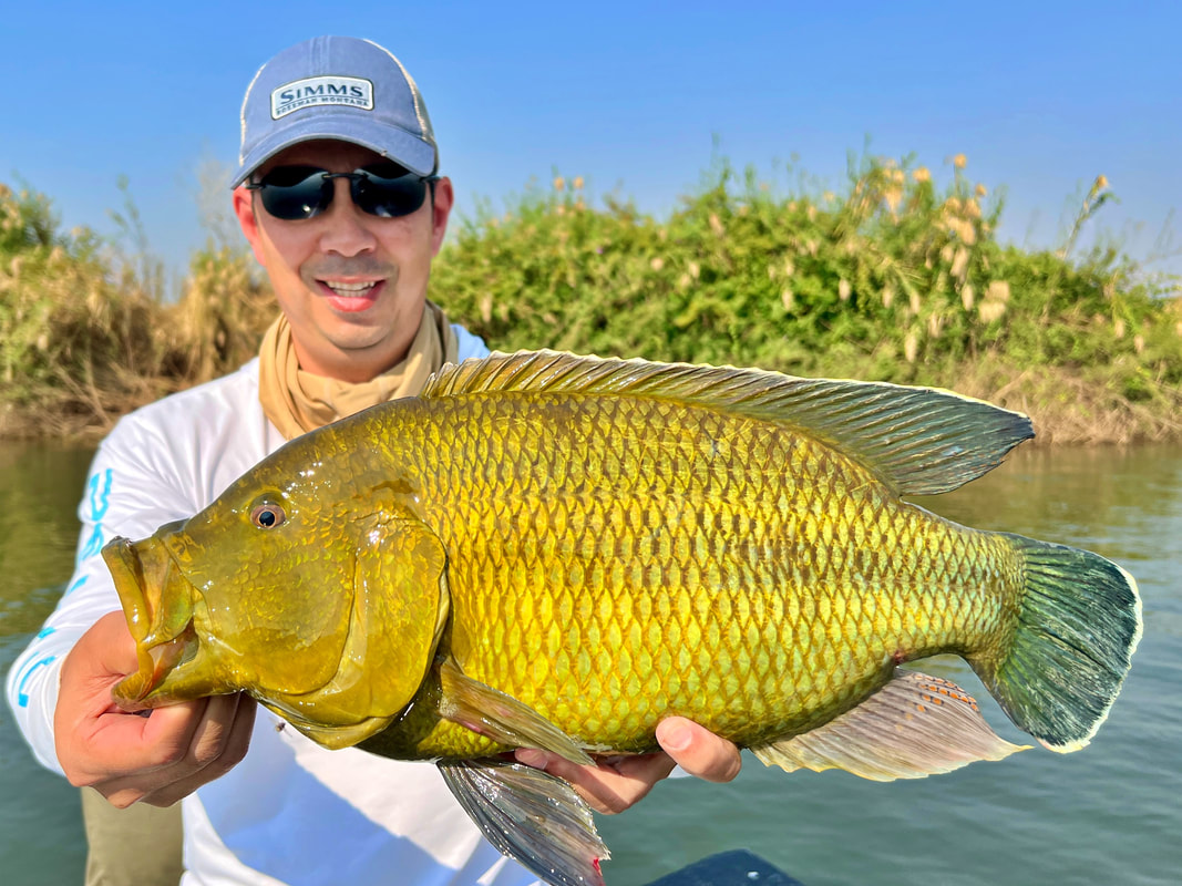 My biggest Nembwe - a big green tanker caught on the upper Zambezi