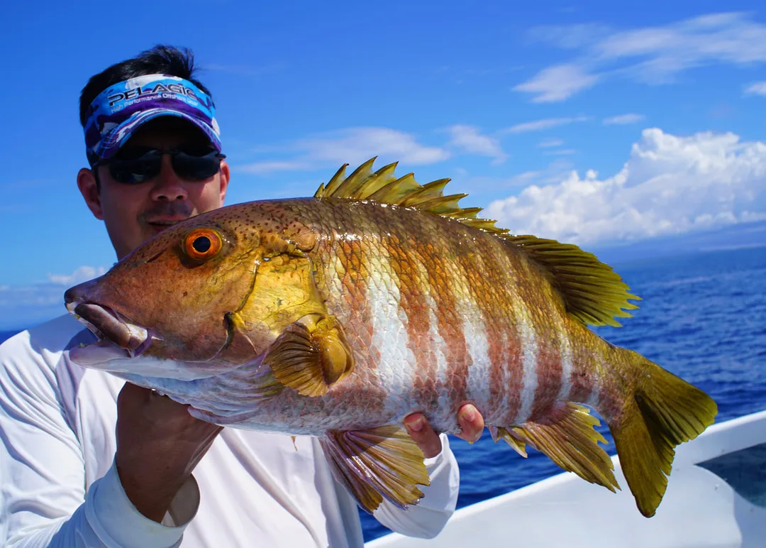 Barred Pargo caught near Cano Island