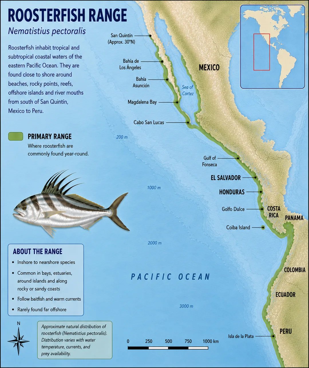 Map of Roosterfish Range