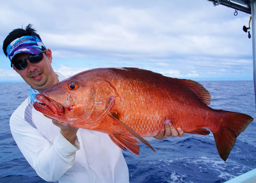 A Cubera caught in Puerto Jimenez, Costa Rica