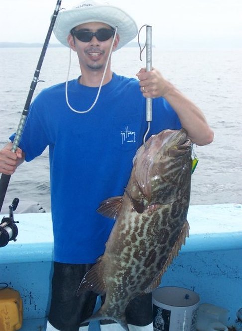 How to catch Broomtail Grouper - How To Catch Any Fish