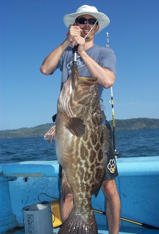 The author's large Broomtail caught on a Salas 7x jig in Panama