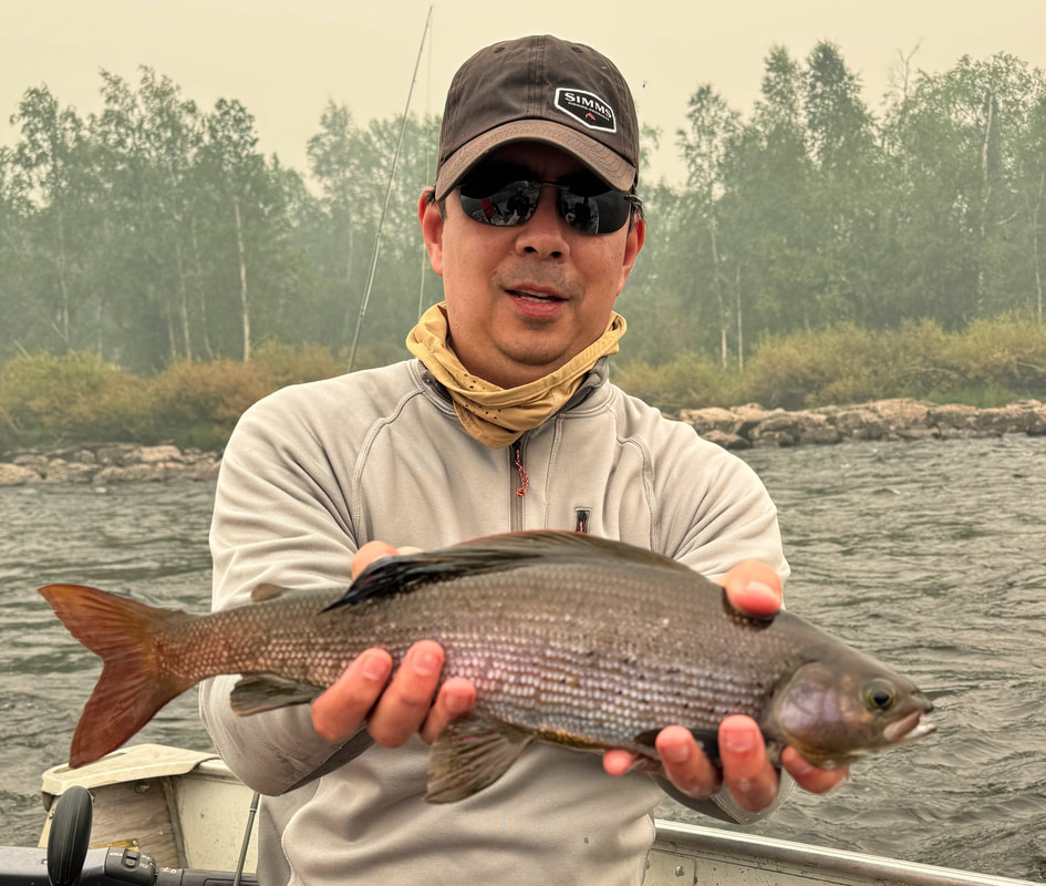Grayling