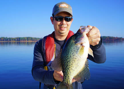 A big fat Lake O the Pines Black Crappie