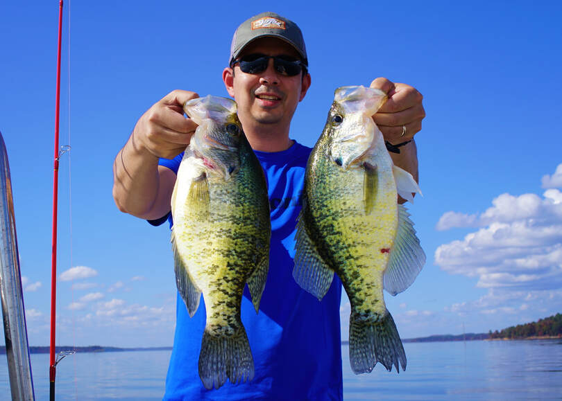 A couple of big White Crappie with good coloration
