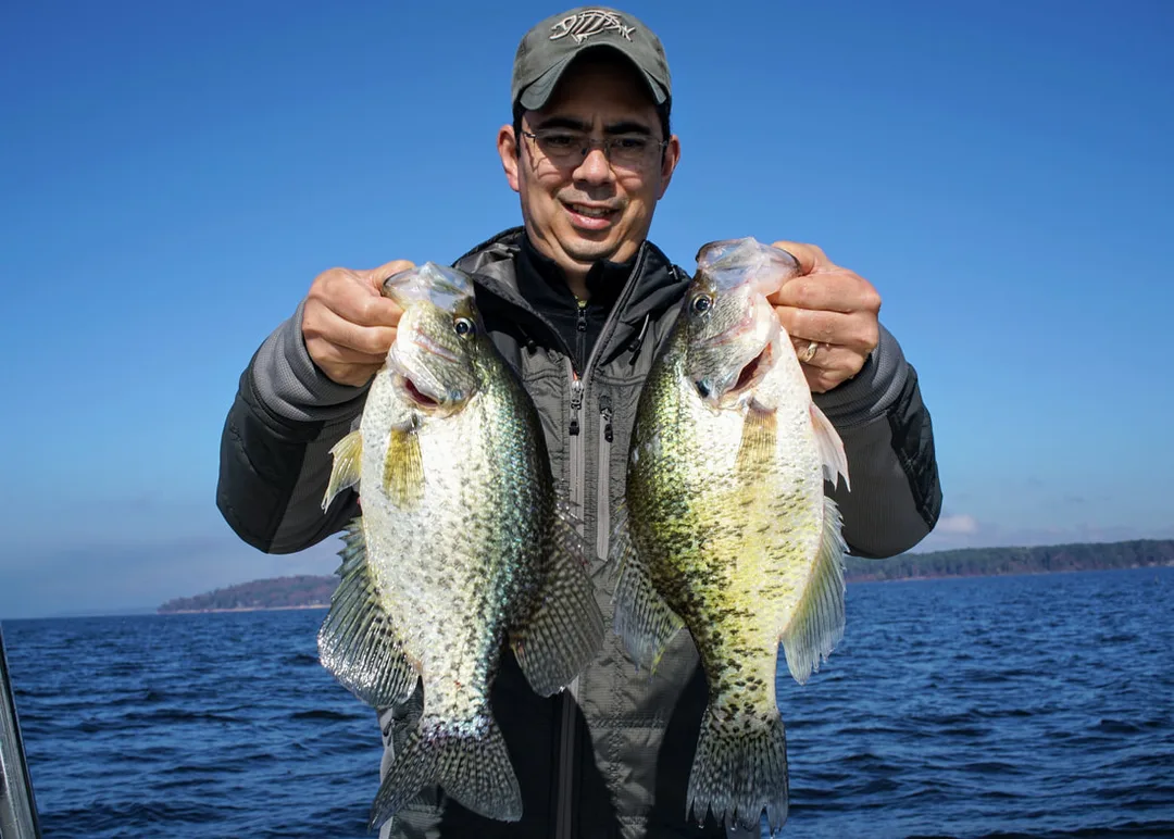 Black Crappie on the left, White Crappie on the right.