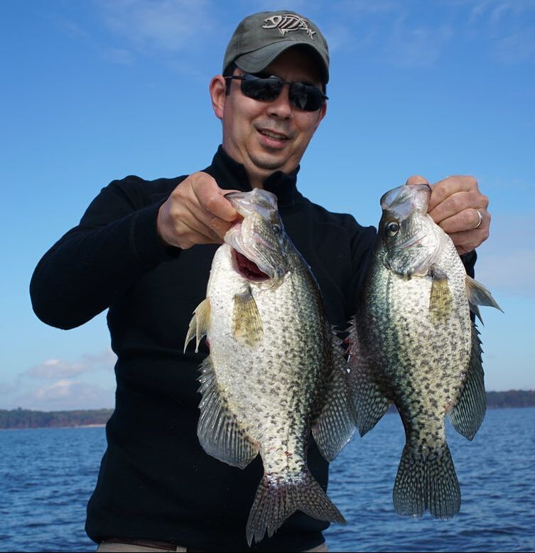 Two more extremely chunky Black Crappie