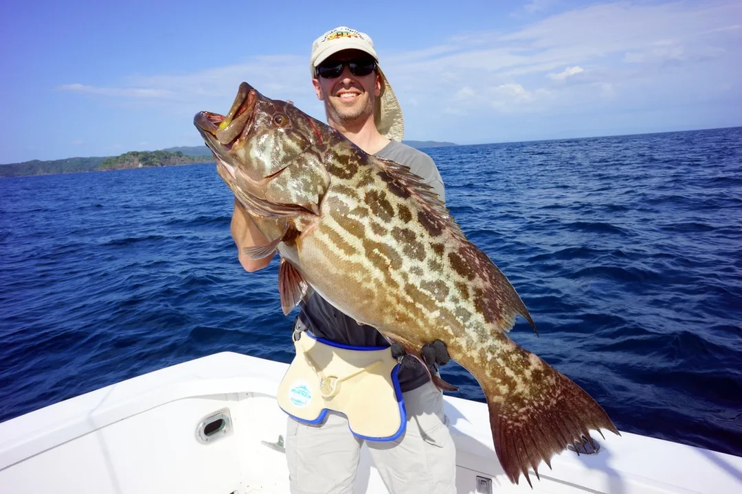 My friend Gary with a stunning specimen caught on a jig in Panama.  Note the tail that gives the species its name.