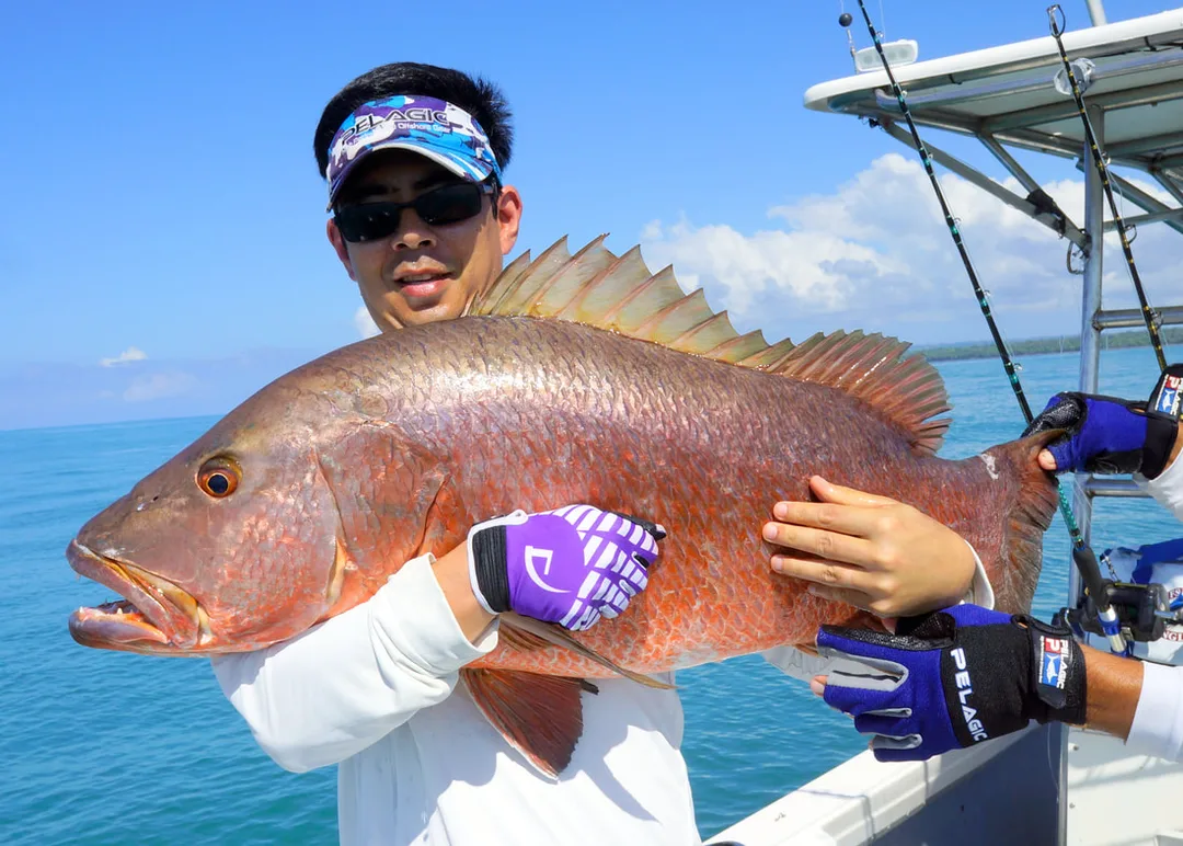 A Cubera Snapper caught in the Osa Peninsula, Costa Rica