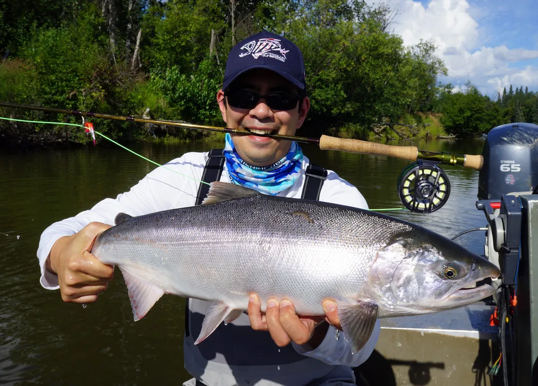 The author's nice bright chrome Silver Salmon caught on fly gear on the Aniak River, Alaska