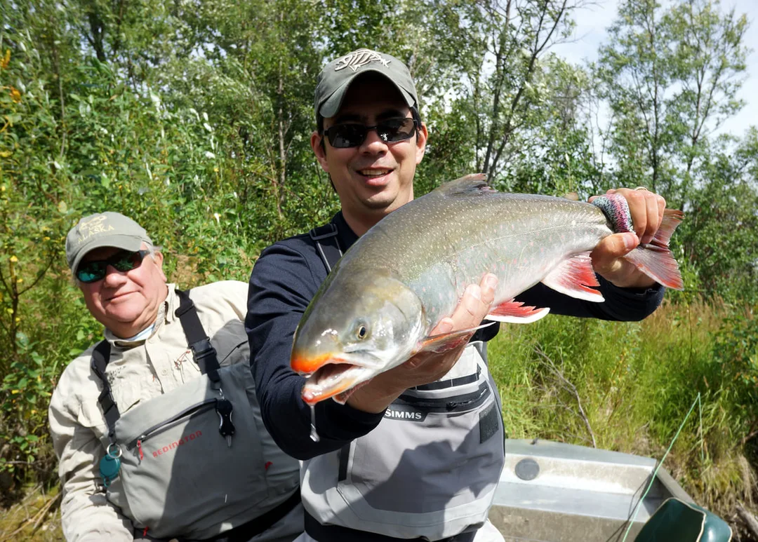 A more silver-colored Dolly Varden recently in from the ocean