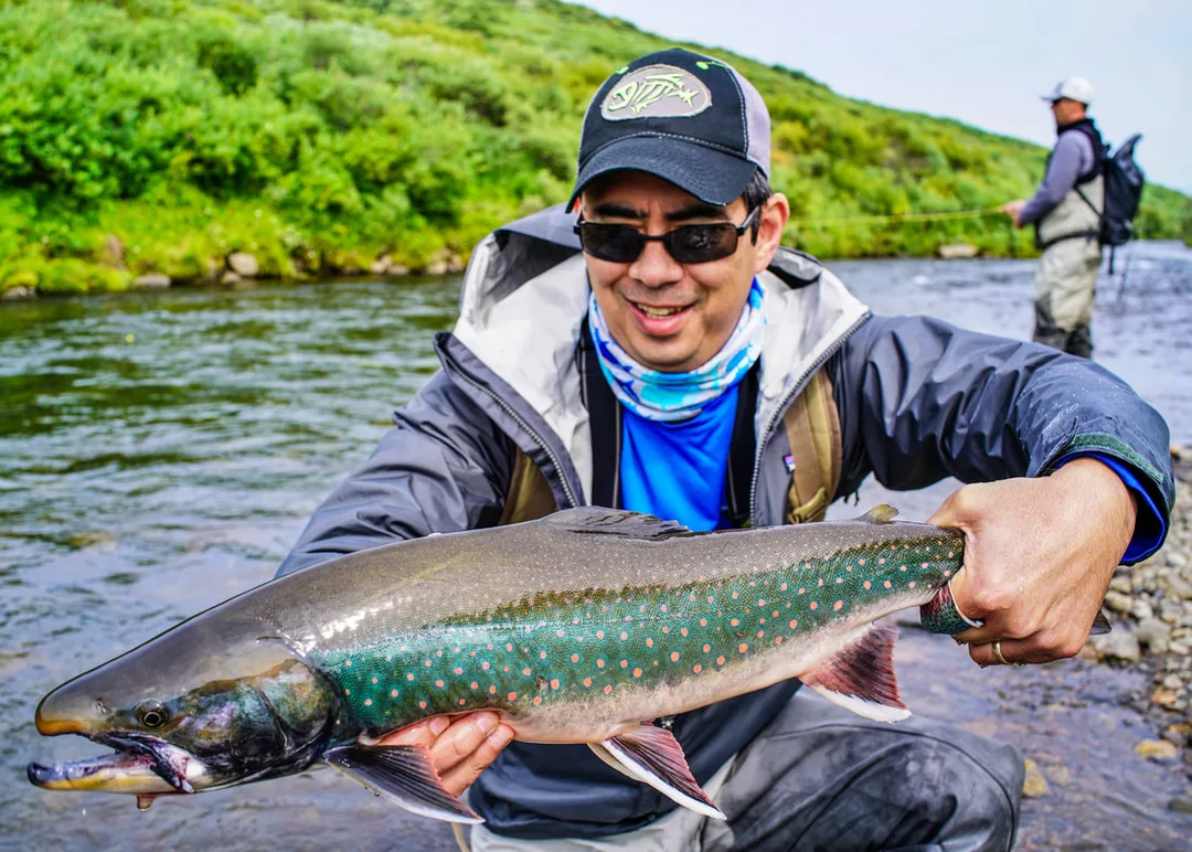 A beautiful large Dolly Varden caught on fly by the author in Gertrude Creek, Alaska