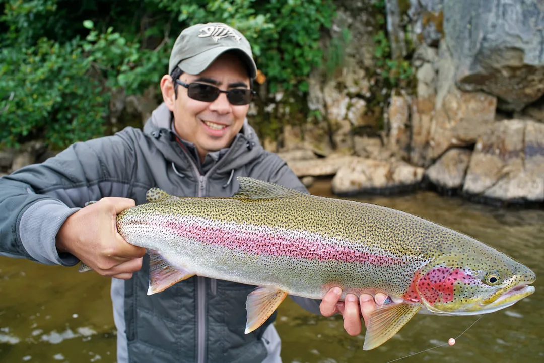 Big Rainbow Trout in Alaska