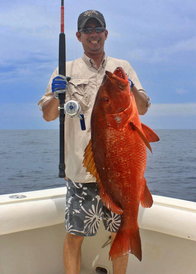A Pacific Cubera Snapper caught in Punta Mita, Mexico
