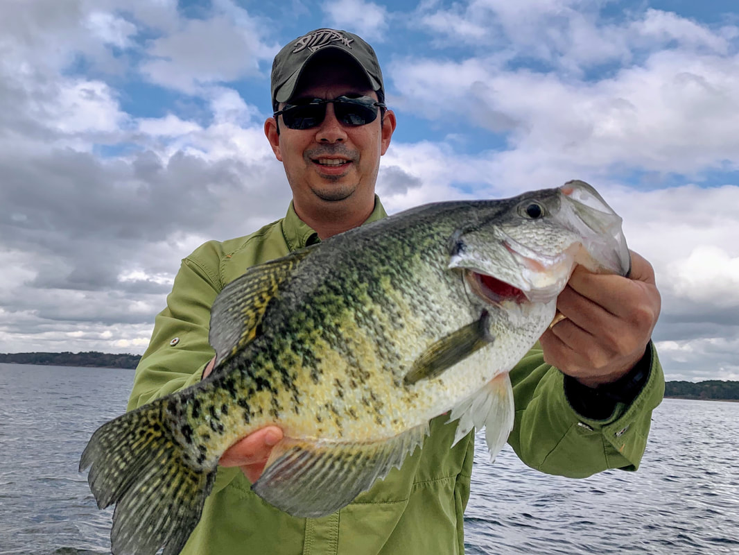 The author's biggest ever White Crappie, caught in Lake O the Pines, Texas on a hand tied jig.