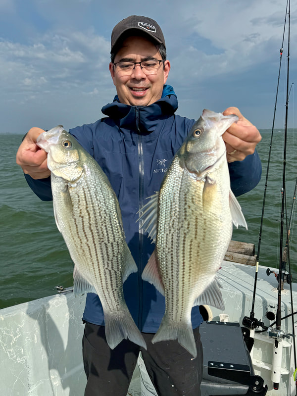 Back to back fish caught in a hot bite before release