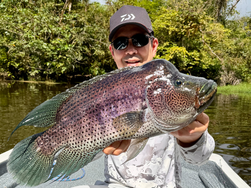 An absolute giant Rainbow Bass