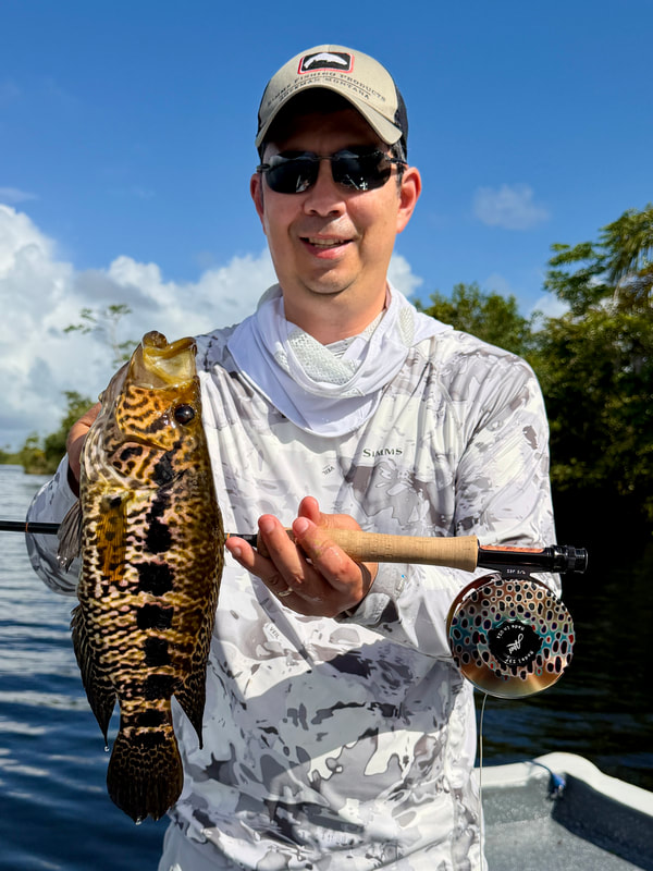 A nice Jaguar Cichlid caught fly fishing with a popper in Nicaragua
