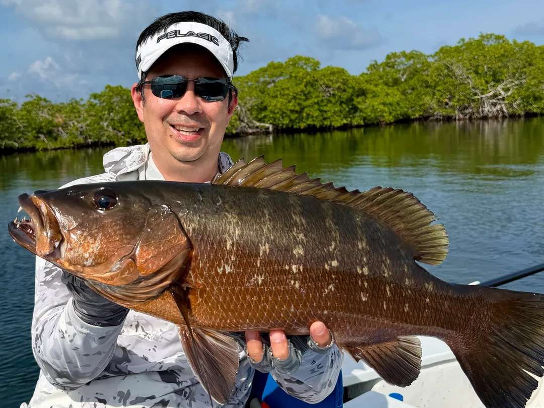 Atlantic Cubera Snapper caught on popper