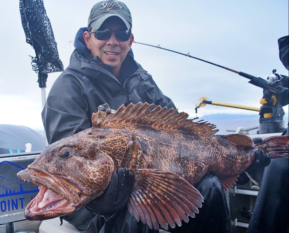 A 47-inch Lingcod caught on a plastic jig near Baranof Island, Alaska