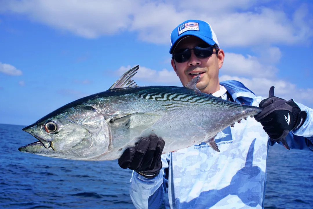 Many smaller tuna species are referred to colloquially as 