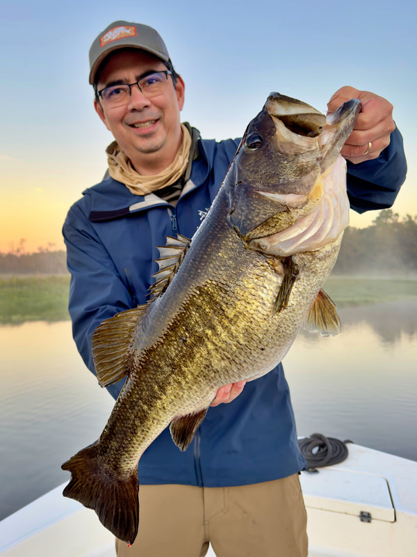 A double digit monster bass caught in Florida