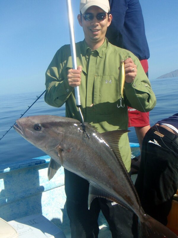 Amberjack