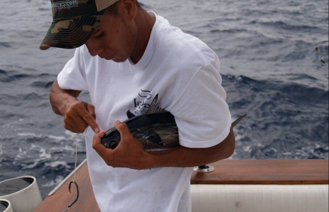 Bridling small members of the tuna family is a good way to target giant Roosters