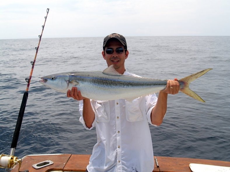 This Rainbow Runner was caught on a live baitfish in Mexico.