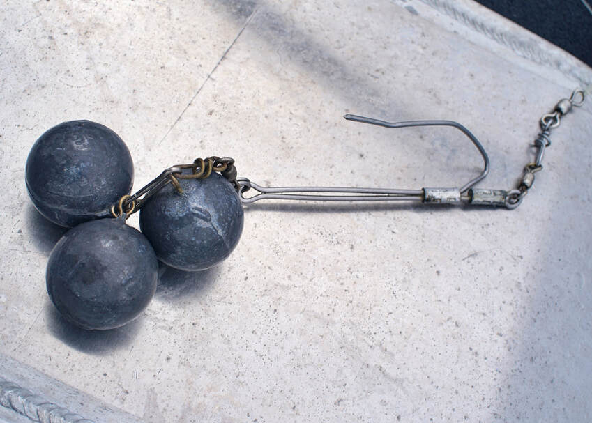 This is a simple device that can be used to drop fish back down and release the pressure of barotrauma and give them a chance to survive.  You attach the hook to the lower jaw, lower it down on a heavy line, and then give it a quick jerk when it has gone down far enough.  For big Yelloweyes, a lot of weight can be needed.