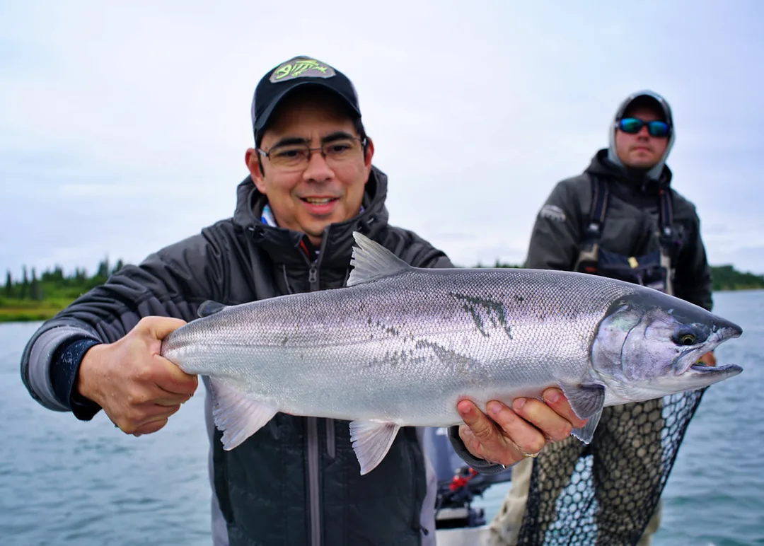 A big Silver caught on the Kvichak River, Alaska