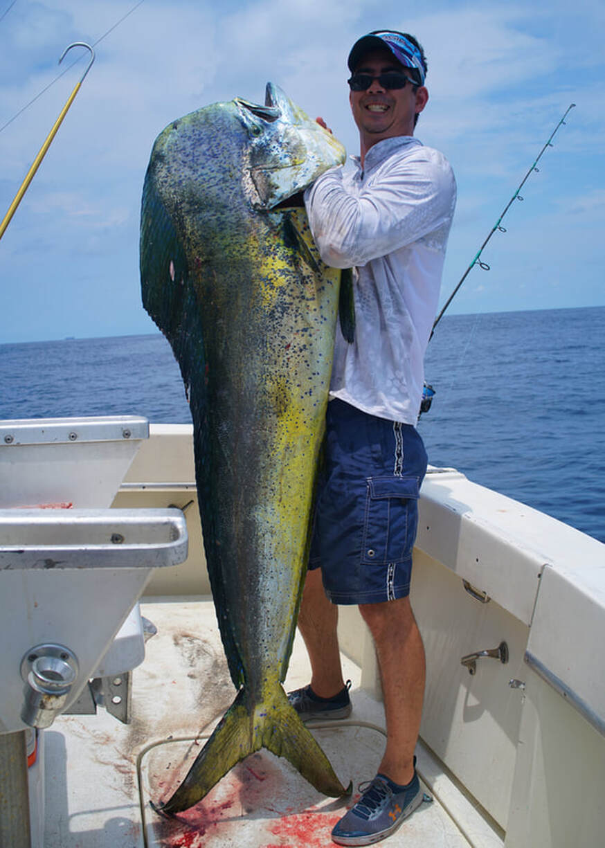 The author's largest Dorado ever, caught while jigging for bait offshore from Puerto Jimenez, Costa Rica on a medium spinning rod.