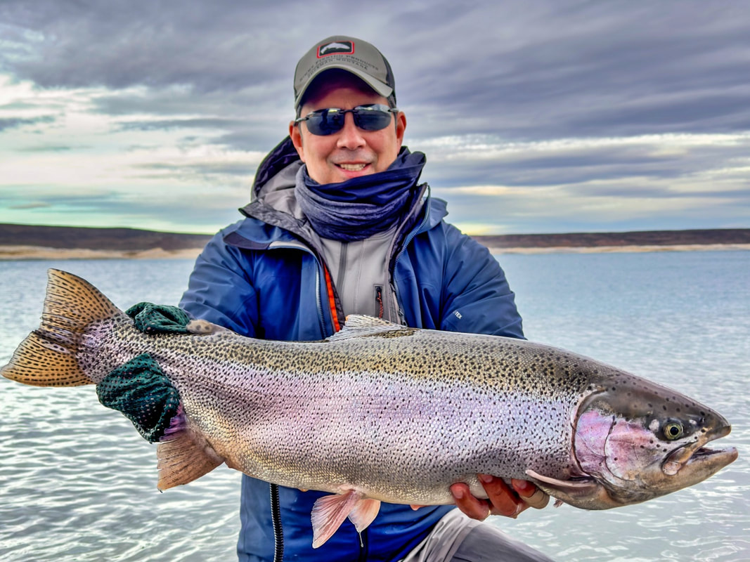 Rainbow Trout, Lake Strobel, Argentina