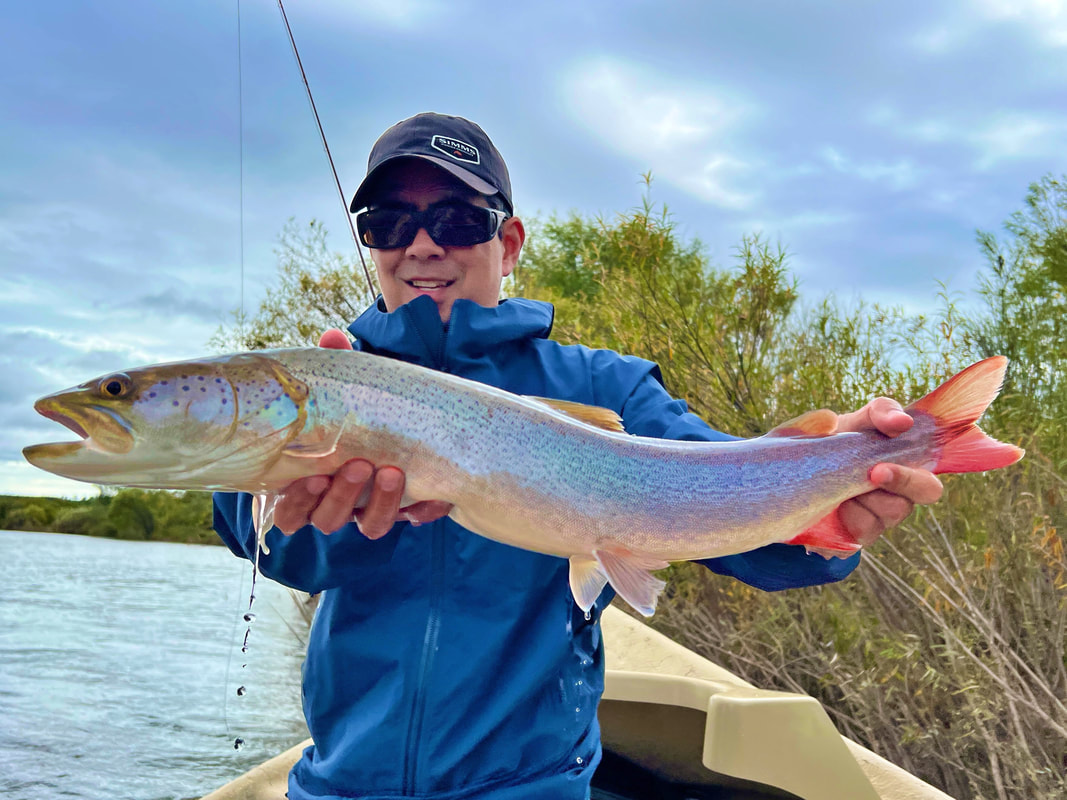 Beautiful Taimen caught on a streamer fly