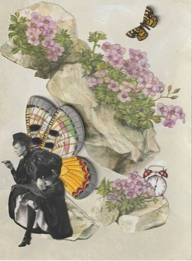 Picture