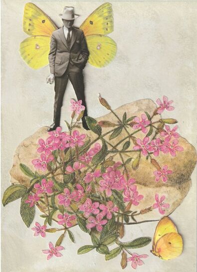 Picture