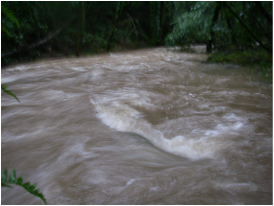 Flooding