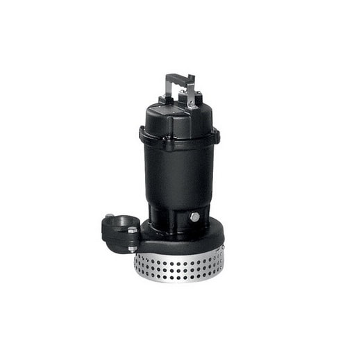 Ebara DS pump Sharjah