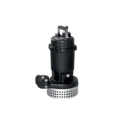 Ebara DS pump UAE