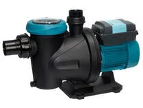 Swimming Pool Pump Dubai