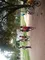 carousel chooser