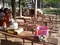 carousel chooser