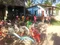 carousel chooser