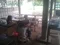 carousel chooser