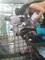 carousel chooser