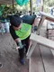 carousel chooser
