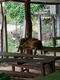 carousel chooser