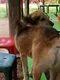 carousel chooser